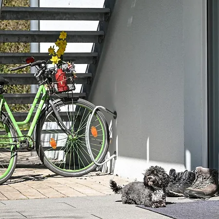 Mit Ueberdachter Terrasse 7 7 Eg Appartement